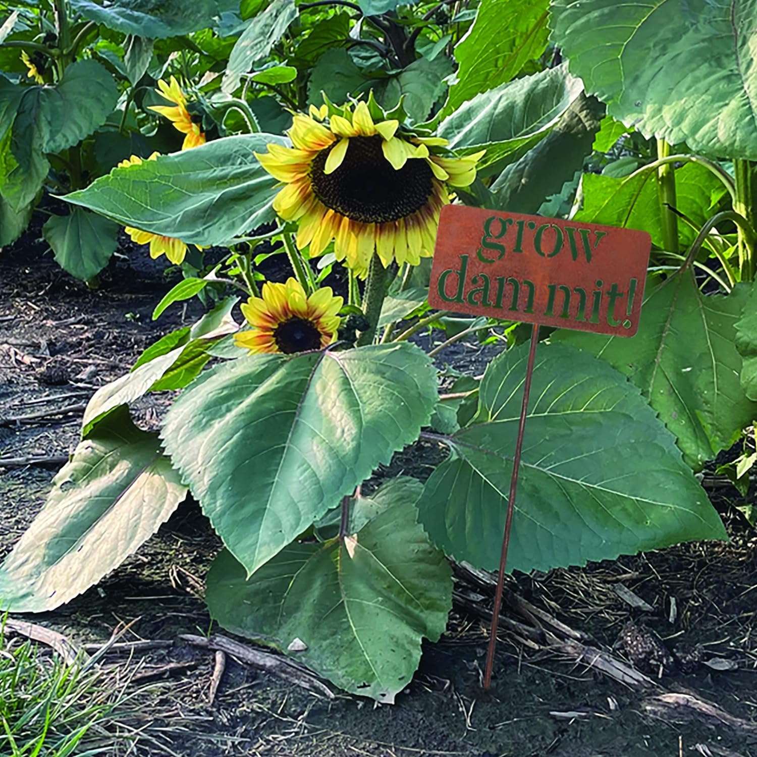 Island Genius Grow Dammit Funny Garden Décor Sign Gardening Gifts for Women and Men Who Love Plants, Alloy Steel - Image 3